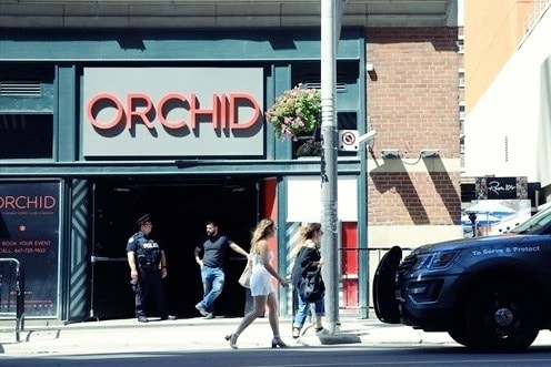 What Made Club Orchid Special